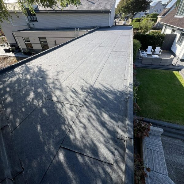 556127698_122104751511023373_6264379758997610976_n 556127698 122104751511023373 6264379758997610976 n